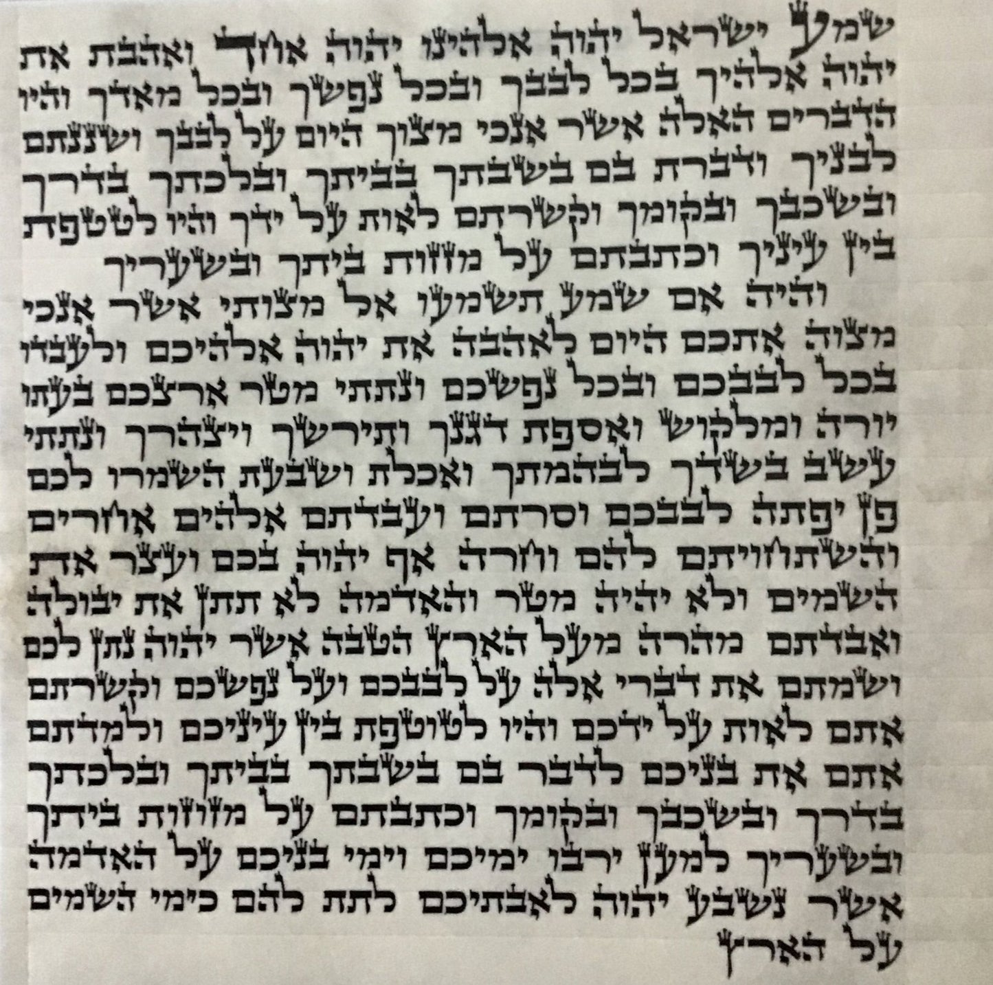 Mezuzah Scroll OU Certified - Sofer Rabbi Tenenhaus - Ari - 6''