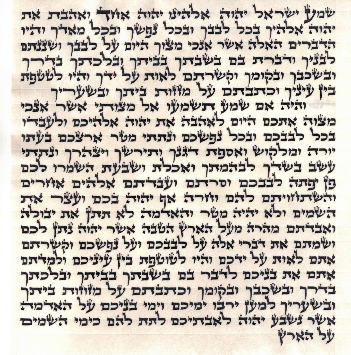 Mezuzah OU certified Written by Sofer - Rabbi Avraham Abba Shapiro - B"Y Ashkenaz