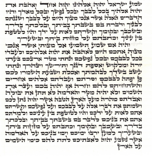 Mezuzah OU certified Written by Sofer - Rabbi Freiman Daniel B"Y