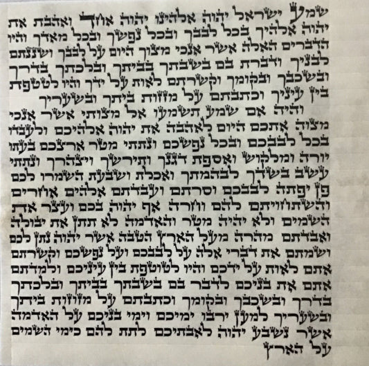 Mezuzah Scroll OU Certified - Sofer Rabbi Tenenhaus - Ari