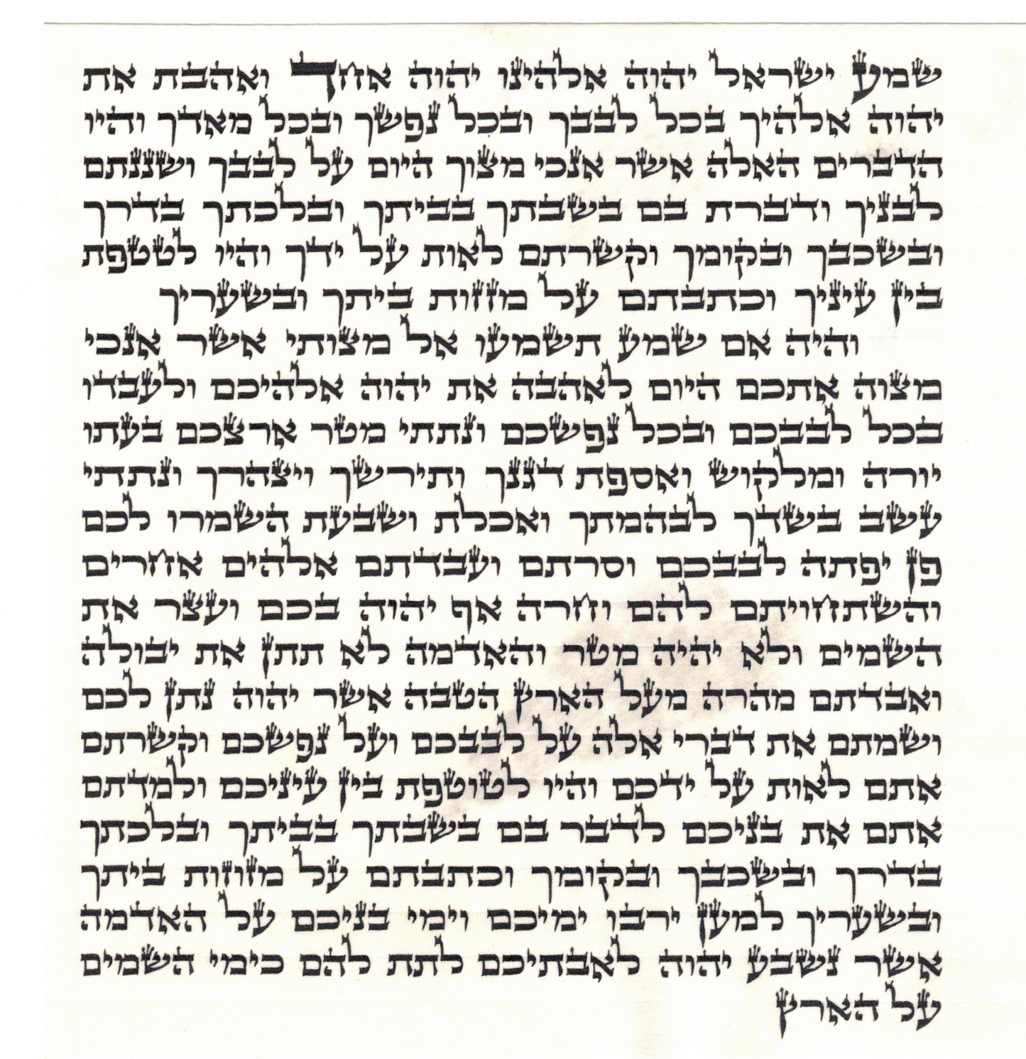 Mezuzah OU Certified - Sofer R' Mordechai Cohen B"Y - Ashkenaz - 6''