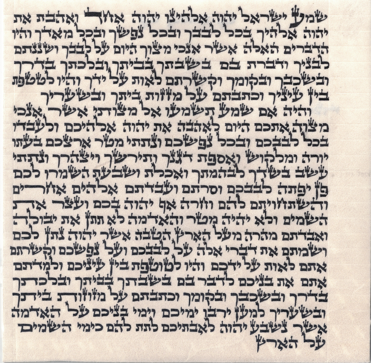 Mezuzah OU certified Written by Sofer -  Rabbi Ahron Pollak - Ashkenaz