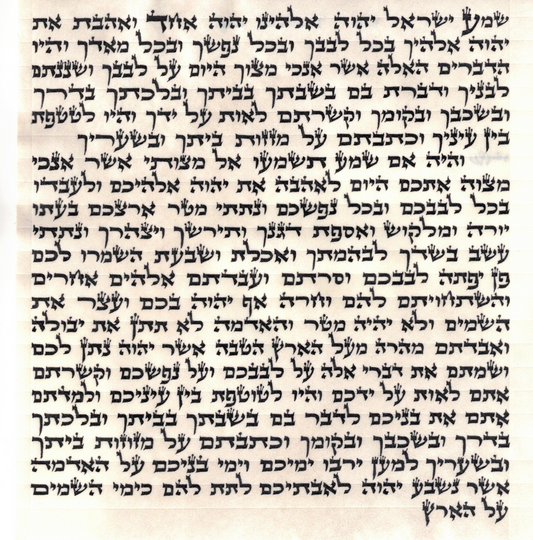 Mezuzah OU certified Written by Sofer - Rabbi Avraham Abba Shapiro - B"Y Ashkenaz